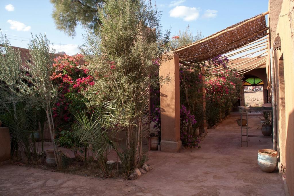Auberge L'Oasis Foum Zguid Zewnętrze zdjęcie
