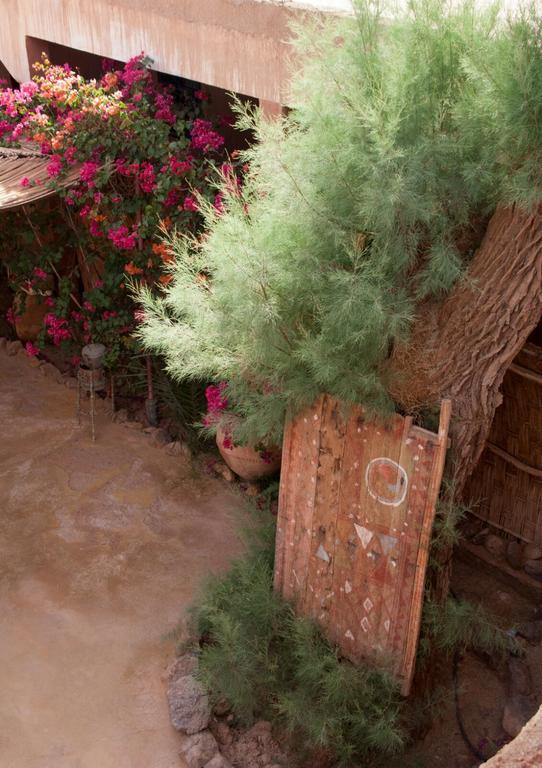 Auberge L'Oasis Foum Zguid Zewnętrze zdjęcie